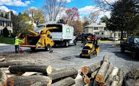 Best Tree Risk Assessment  in Greencastle, PA